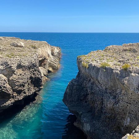 Maeri Home Augusta Dış mekan fotoğraf